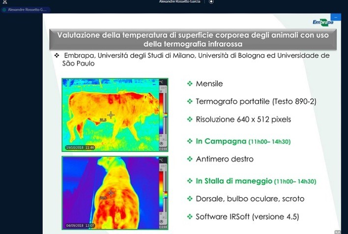 Não invasiva, termografia é usada para monitorar bem-estar animal