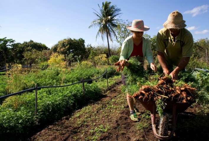 Projeto vai desenvolver agricultura familiar em municípios do Baixo São Francisco