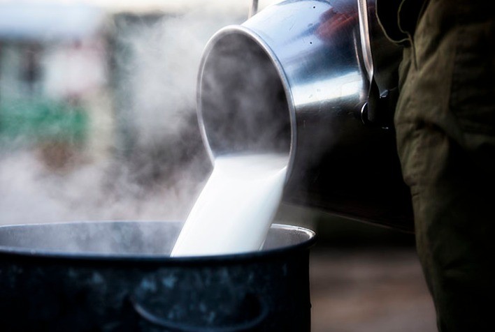 Cepea disponibiliza o Boletim do Leite de julho 20220