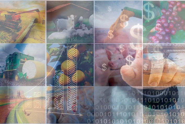 IPPA: Sustentado por pecuária, IPPA/CEPEA sobe 0,3% em junho