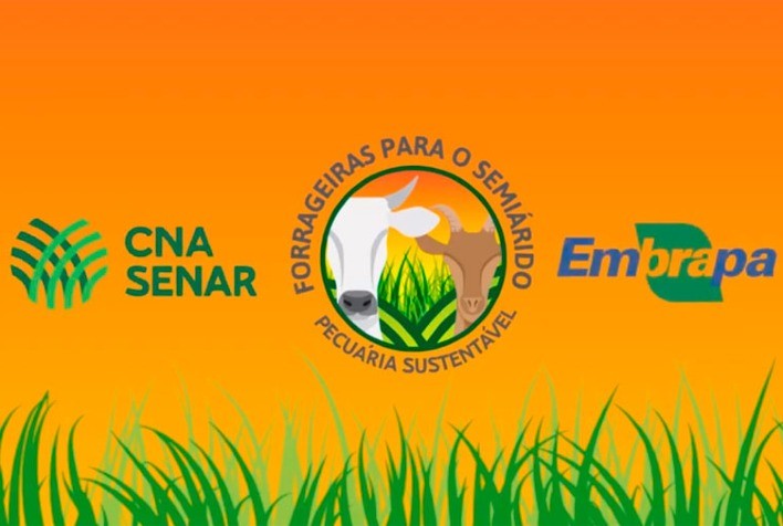 Instituto CNA divulga resultados do Projeto Forrageiras em Minas Gerais e Maranhão