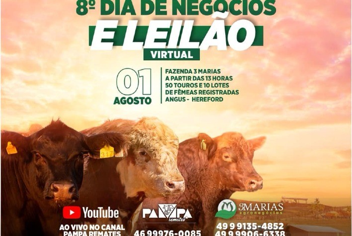 Fazenda Três Marias realiza 8º Dia de Negócios e Leilão virtual