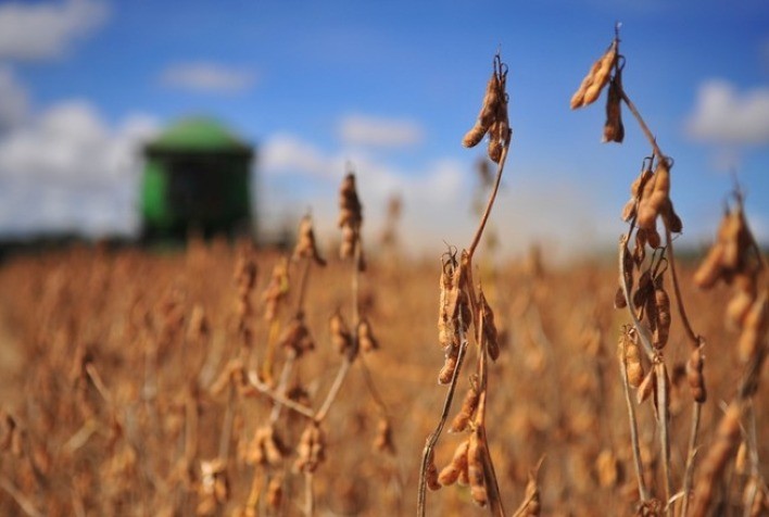 Soja: Sancor libera R$ 150 milhões para indenizações