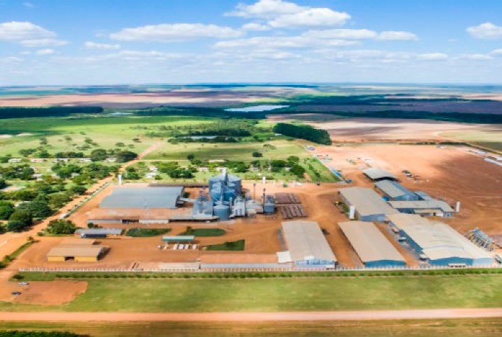 SLC Agrícola investe em pesquisas dentro das Fazendas para promover melhorias produtivas