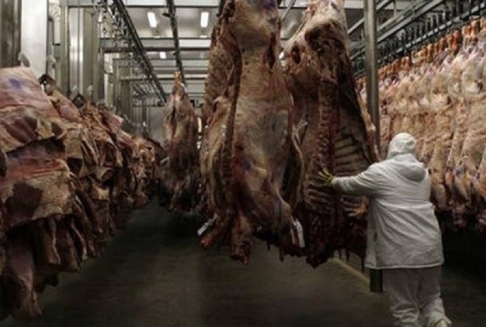 Aumento nas exportações brasileiras de carne bovina