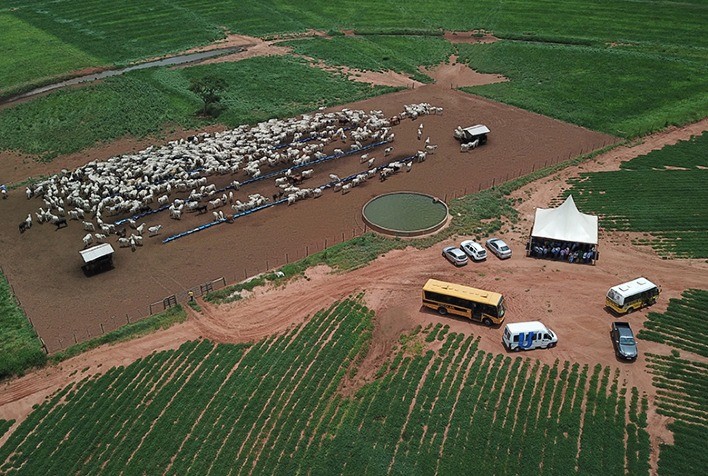 Programa Gestão DSM aumenta a lucratividade das fazendas