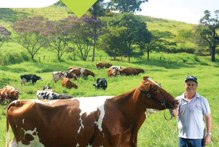 Com 68 lançamentos, CRV Lagoa apresenta Catálogo Leite Europeu 2020