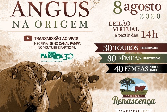 Genética Angus será ofertada em remate da Fazenda Renascença