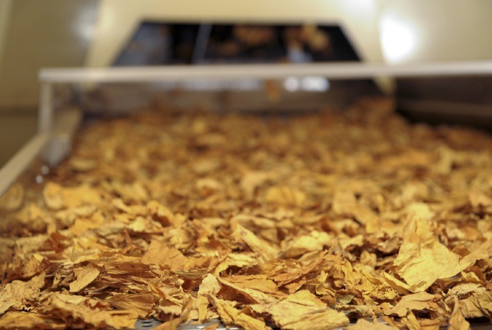 Exportações de tabaco podem cair 6%