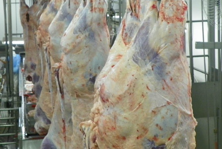 Programa de Eficiência de Carcaça da Minerva Foods, Phibro Animal Health e Biogénesis Bagó, já reúne mais de 600 pecuaristas