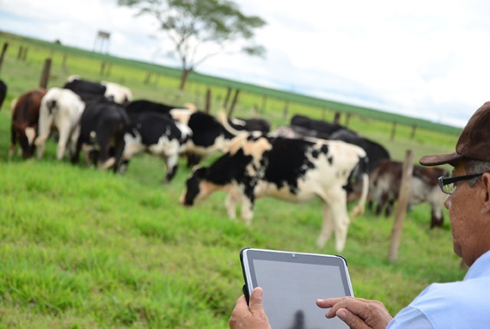 BRF implementa sistema de Inteligência Artificial e aplicativo para Produtores Integrados