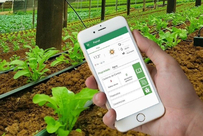 Produtor alia plantio convencional ao uso de tecnologia no cultivo de hortaliças