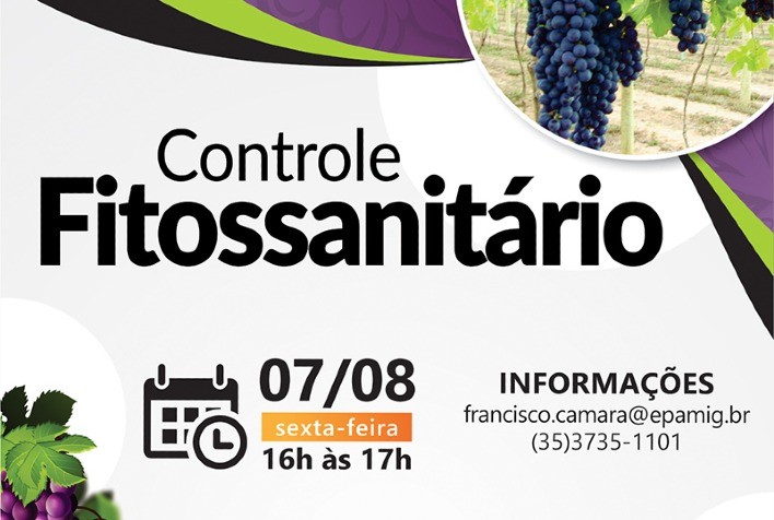 EPAMIG promove encontros virtuais sobre Vitivinicultura