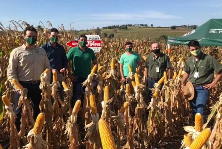COCAMAR: Orientação técnica aumenta rentabilidade do produtor
