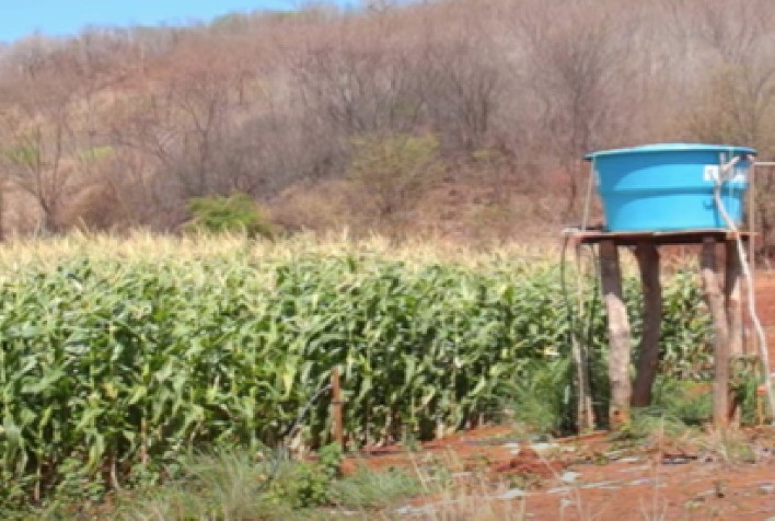 Agricultura irrigada em pequenas e médias propriedades