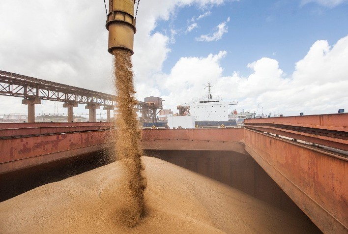Demanda pela soja brasileira está mais alta com exportações quase 40% acima de 2019, estima DATAGRO