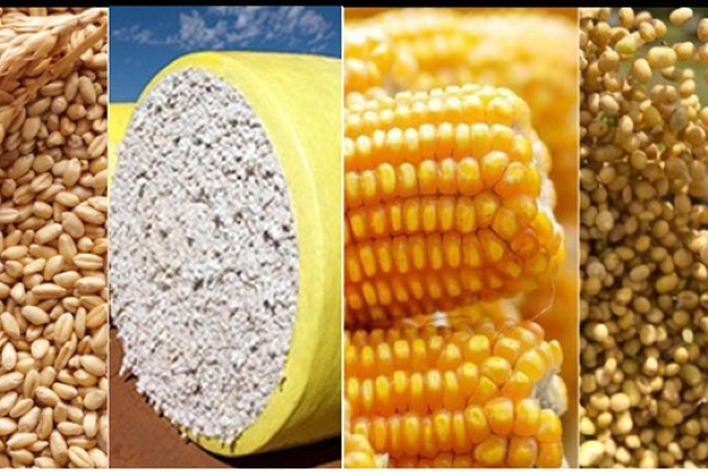 Estão disponíveis as agromensais de JULHO/2020 do Cepea