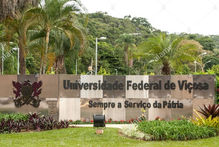Parceria entre Bayer e Universidade Federal de Viçosa (MG) incentiva pesquisa sobre doenças na cultura da soja
