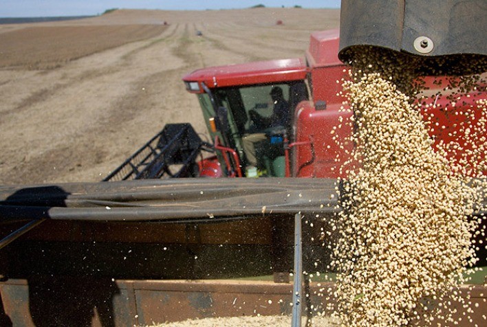 Soja opera estável em Chicago nesta 6ª feira e testa leves baixas