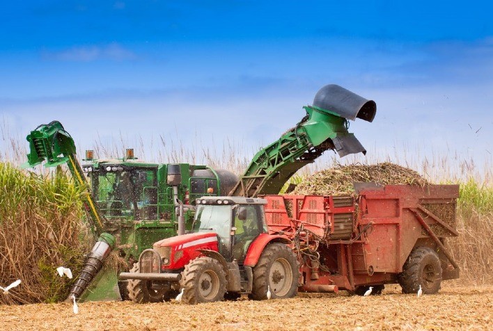 Colheita mecanizada da cana-de-açúcar atinge 95,3% das áreas produtivas na safra 2018/19, diz IEA