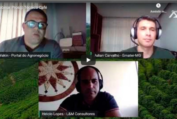 Gestão e comercialização, os principais desafios do cafeicultor