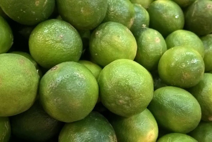 CITROS: Preço da Tahiti dispara e chega aos R$ 100/CX em SP, recorde nominal