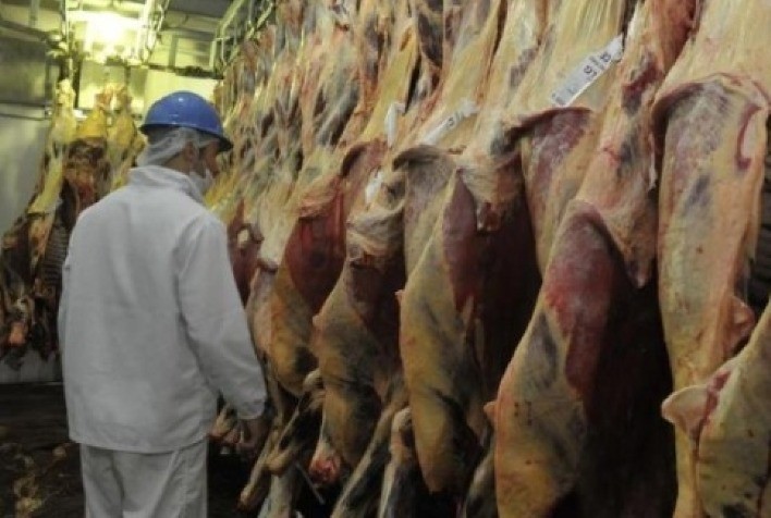 Aumento nas exportações brasileiras de carne bovina em agosto