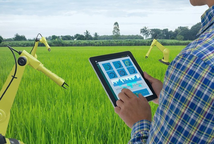 Pesquisa mostra o retrato da agricultura digital brasileira