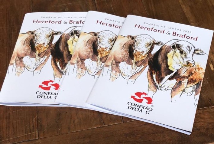 Conexão Delta G apresenta Sumário de Touros Hereford e Braford 2020