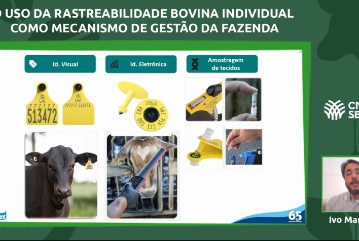 Gestão na pecuária: os benefícios do uso da rastreabilidade individual bovina