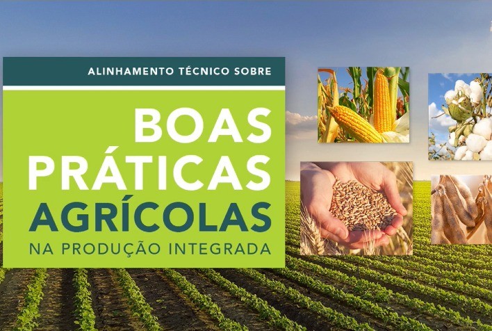 Treinamento enfatiza boas práticas agrícolas e produção sustentável e viabiliza que técnicos de Minas Gerais e Bahia propaguem conhecimentos adquiridos