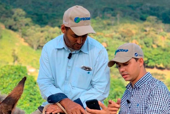 Plataforma digital oferece modelo inovador de gestão pecuária