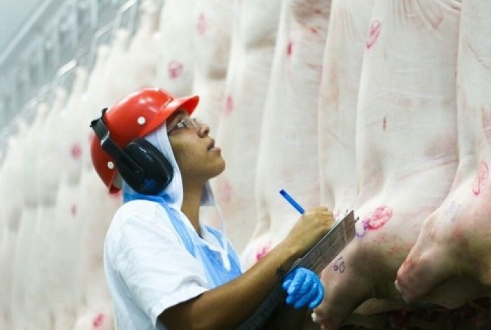 Importações de carne suína pela China em julho têm recorde de 430 mil t