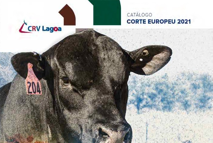 CRV Lagoa lança Catálogo Corte Europeu 2021 com 33 novos touros