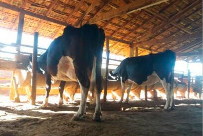 Últimos dias para cadastro gratuito no Techmilk