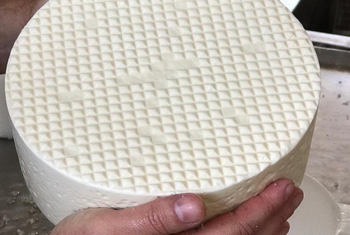 Experimentos da EPAMIG buscam aprimorar processo de produção de queijos Minas Artesanais na região do Campo das Vertentes