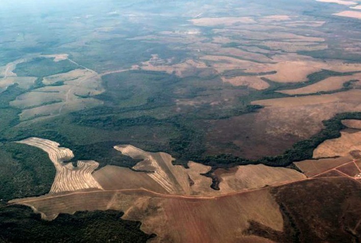 Brasil perdeu área de vegetação nativa equivalente a 10% do território nacional entre 1985 e 2019