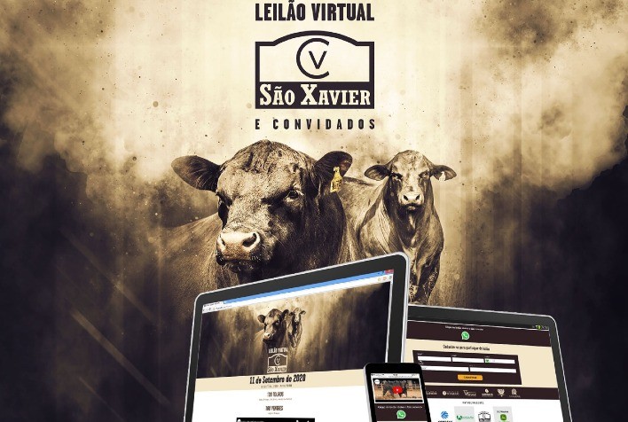 São Xavier ofertará animais de ponta para atuação a campo