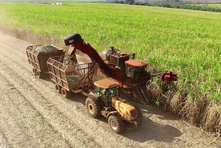 Colheita de cana-de-açúcar da Índia tem atrasos com impactos da Covid-19 no país