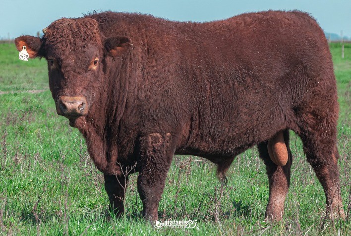 Cabanhas Palmeira, Alagado e Santa Alice são premiadas na Devon