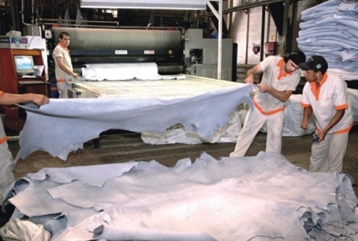 Sinais de retomada no mercado de couro