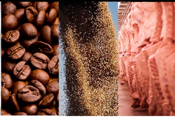 Estão disponíveis as agromensais de AGOSTO/2020 do Cepea