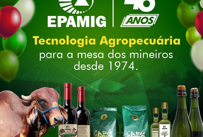 Epamig trabalha para diminuir os prejuízos causados por carrapatos na pecuária