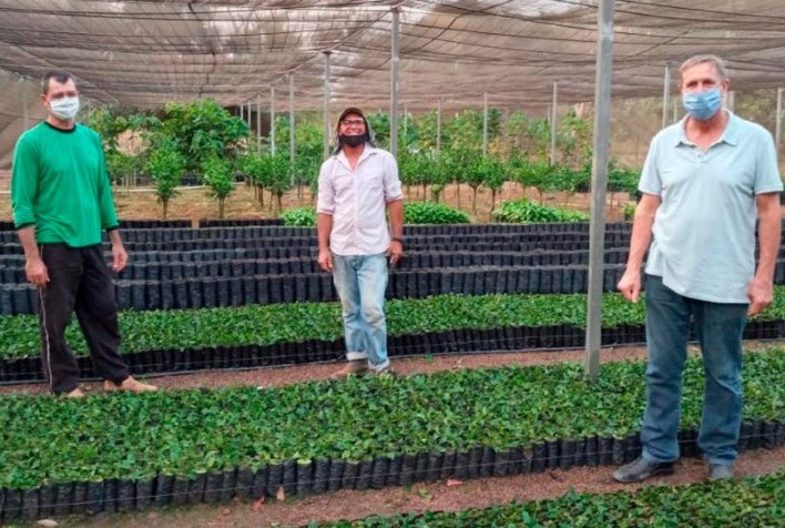 Governo vai distribuir 310 mil mudas de café para agricultores em Mato Grosso