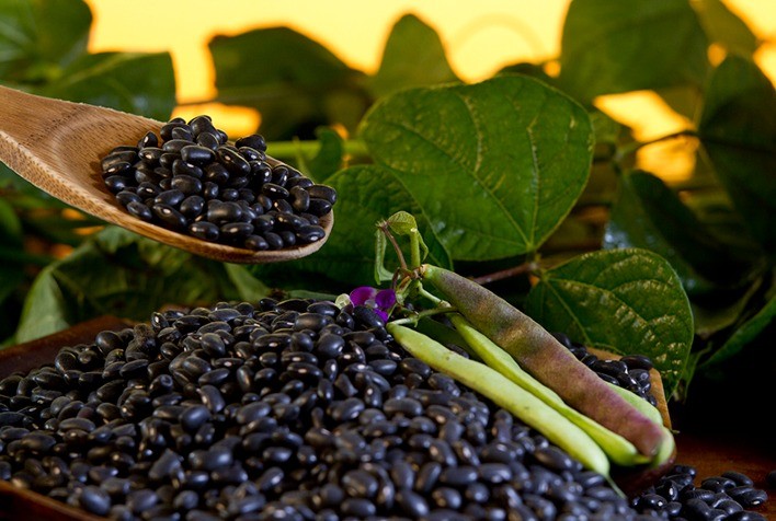 Feijão-preto vem da Bolívia e da Argentina e mesmo assim bate R$ 300