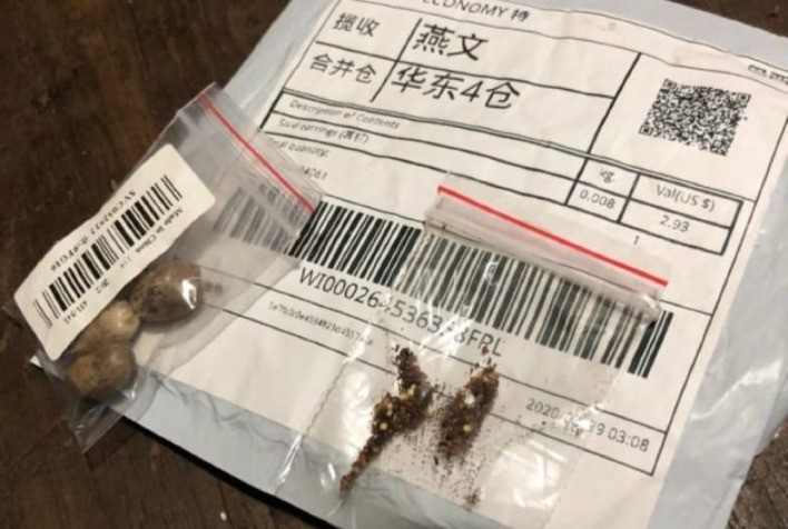 FAESC alerta produtores sobre sementes recebidas da China