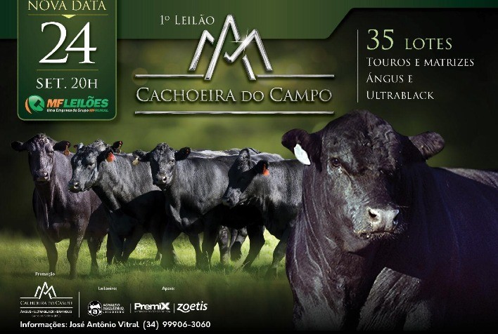 1° Leilão Cachoeira do Campo fará oferta de seleção de 20 anos