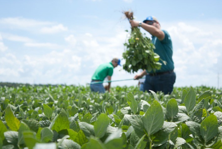 Primeiro inoculante do mundo com duas bactérias para coinoculação de soja é lançado pela Stoller do Brasil