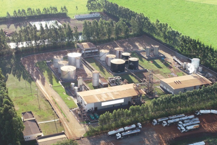 Boletim CNA: Exportações de frutas se intensificam e melão brasileiro chega à China