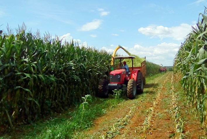 Brevant™ Sementes apresenta híbridos de alta performance e promove integração da cadeia com programa Silagem 360º